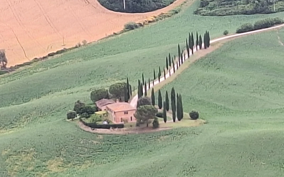 A cypress-lined road winding between Tuscan fields seen from a balloon