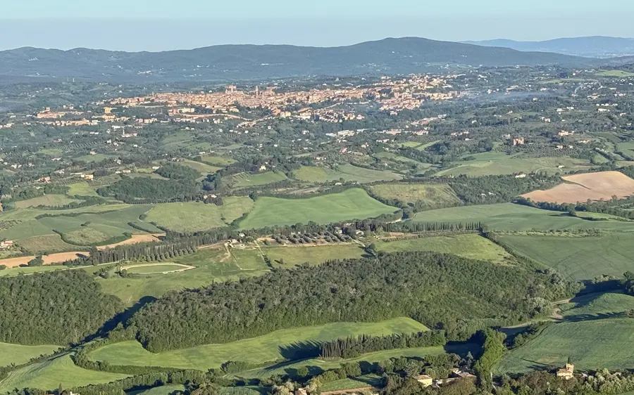 A walled hill town in the distance above fields, olive rows and lines of cypresses