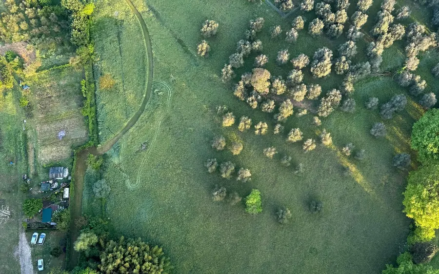 A field, an olive grove and a farm track seen straight down from the basket