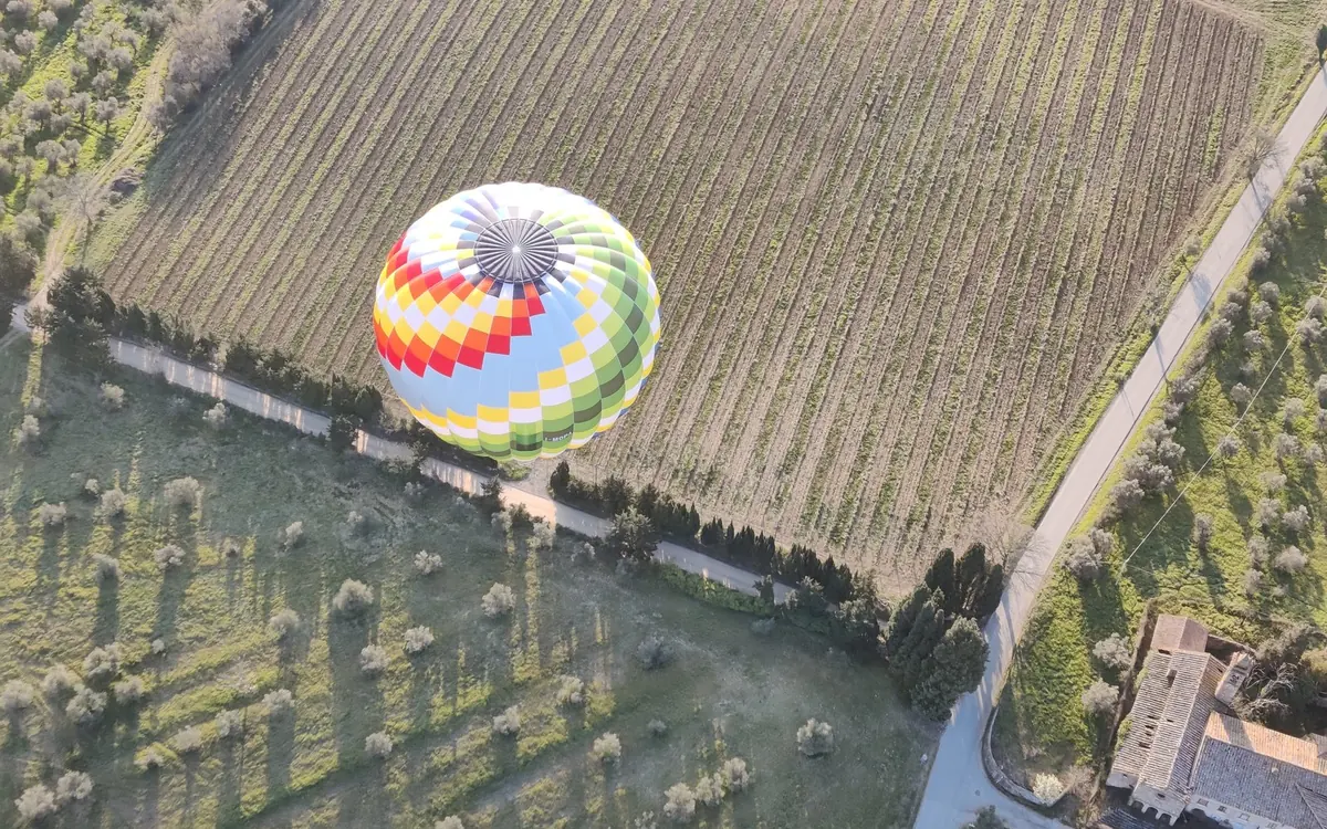 A balloon seen from above, low over vineyard rows, olive trees and a farm road